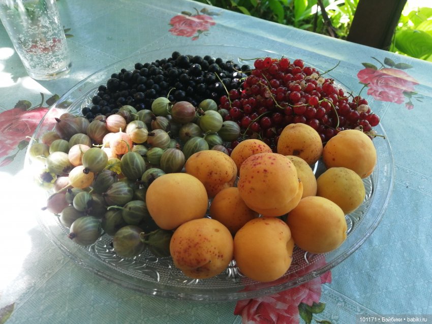 Старая дача и ее обитатели