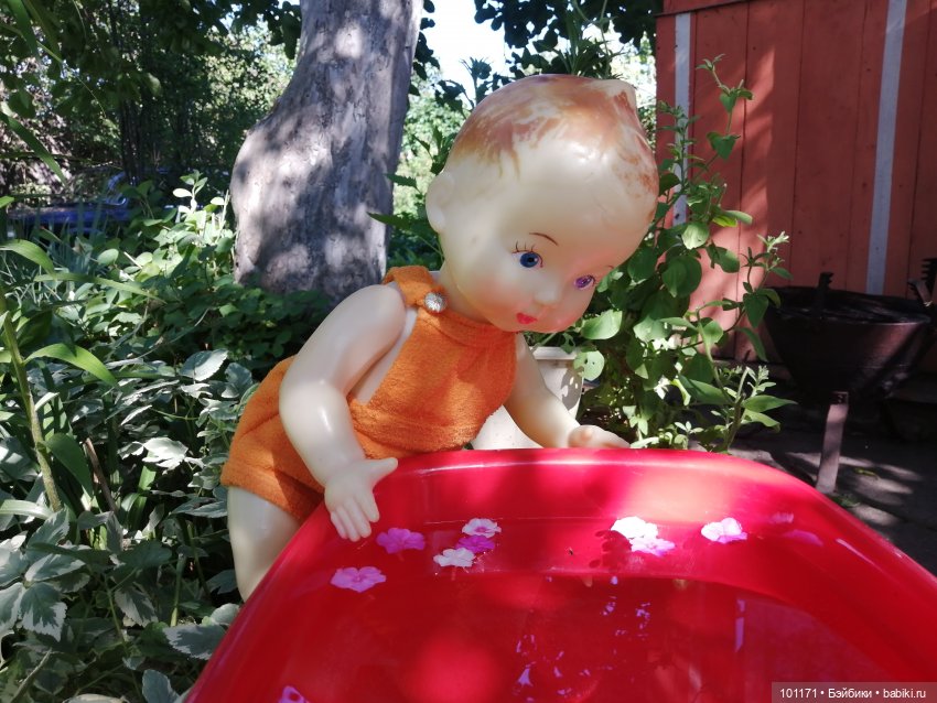 Старая дача и ее обитатели (фото 6)