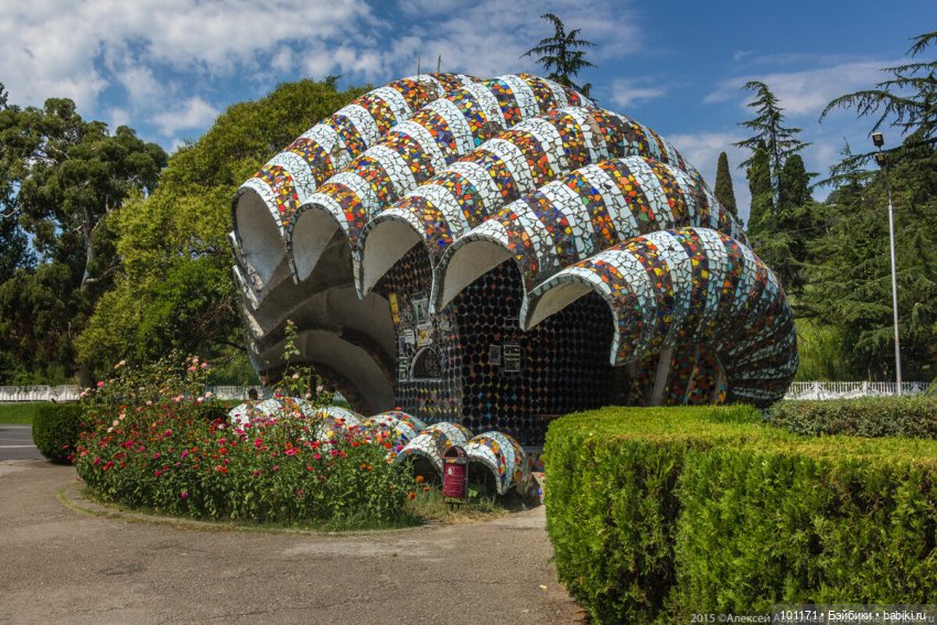 Мила "Весна" родом из Сухума (фото 7)