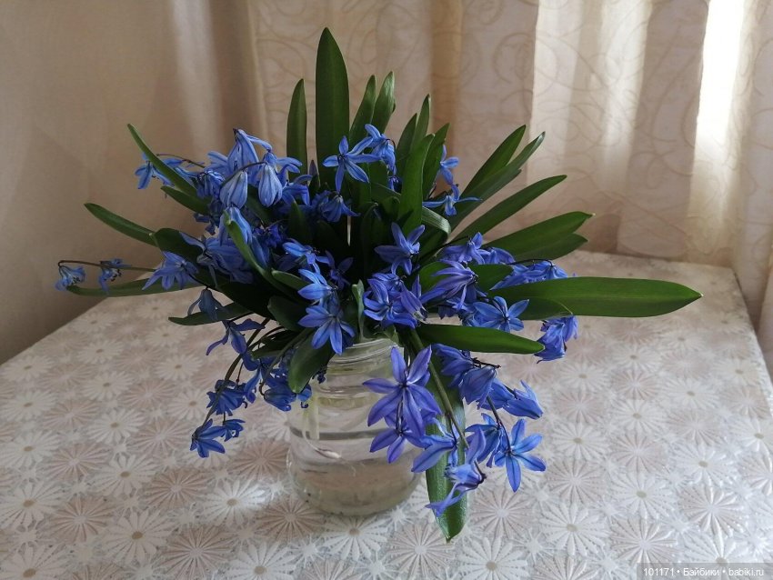 Мила, цветы и проказник-апрель (Кукла Мила "Весна") (фото 9)