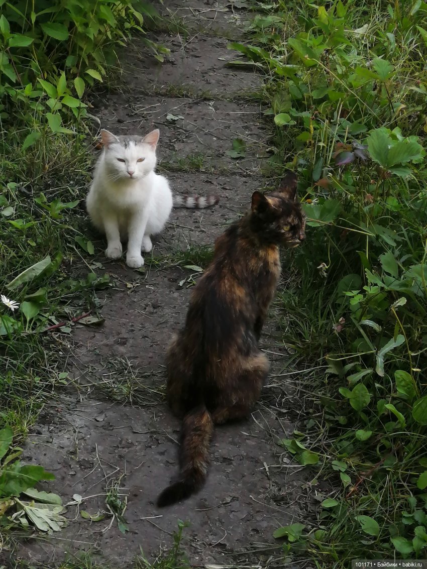 Василинкин июль — Советские винтажные куклы (СССР): Ленигрушка (фото 7)