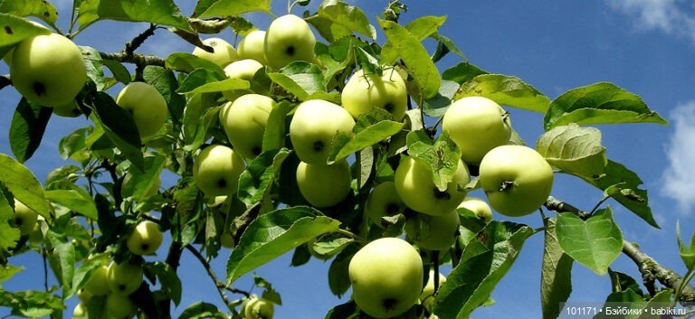 Василинкин июль — Советские винтажные куклы (СССР): Ленигрушка (фото 2)