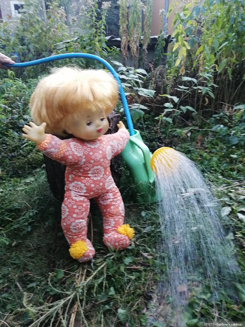 И снова обитатели старой дачи) (фото 7)