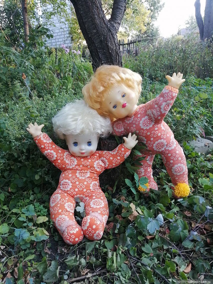 И снова обитатели старой дачи) (фото 6)