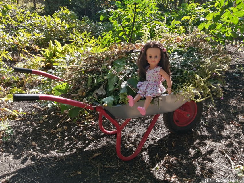 "Черепашка" (Schildkrot) Ивушка гостит у друзей (фото 10)