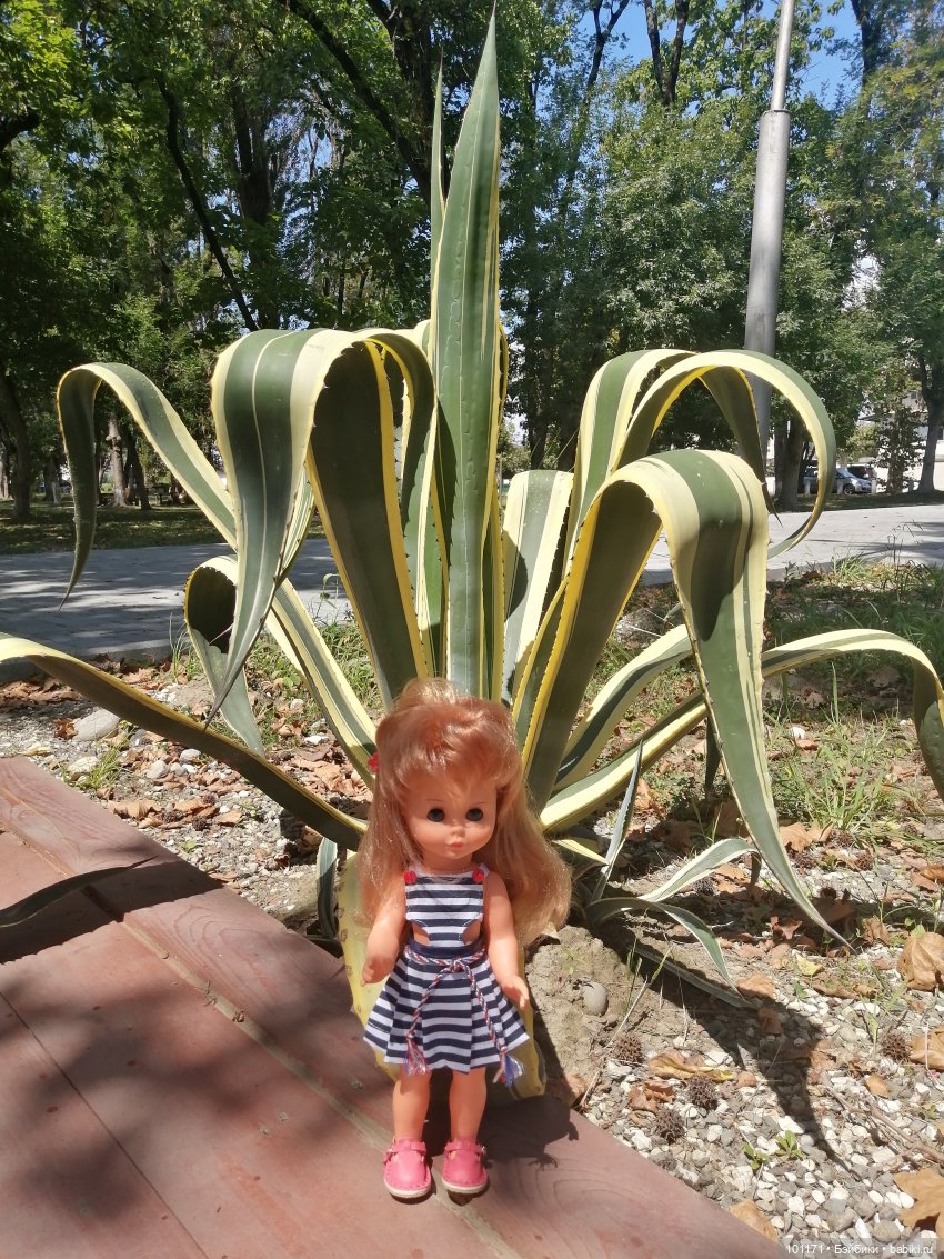 Сухумские этюды 2025.) Часть 1. Светлана