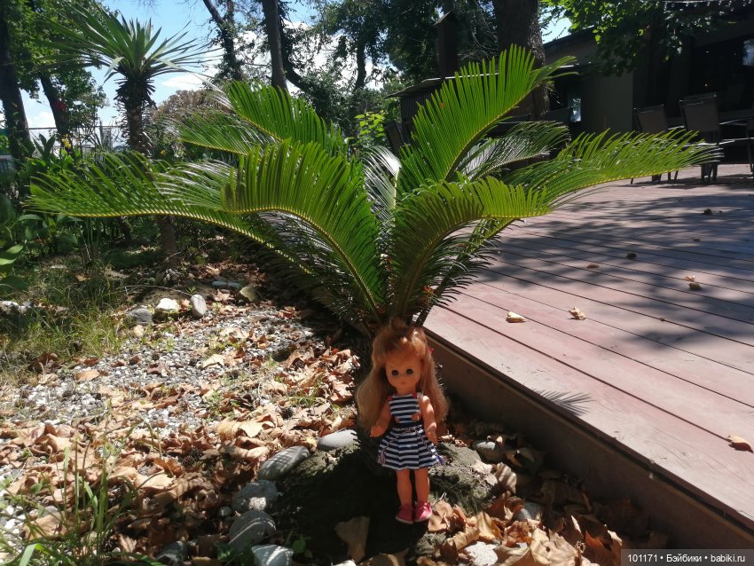 Сухумские этюды 2025.) Часть 1. Светлана