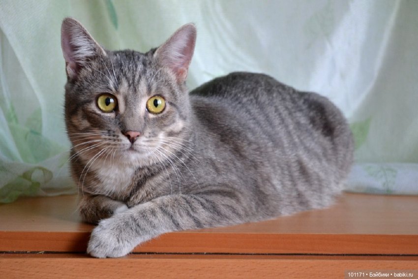 Сухумские этюды 2025. Часть 2. Мариночка