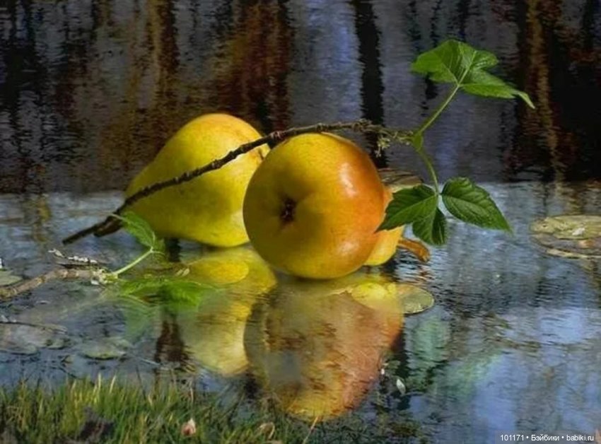 За семь часов до осени. Моя новая Мила