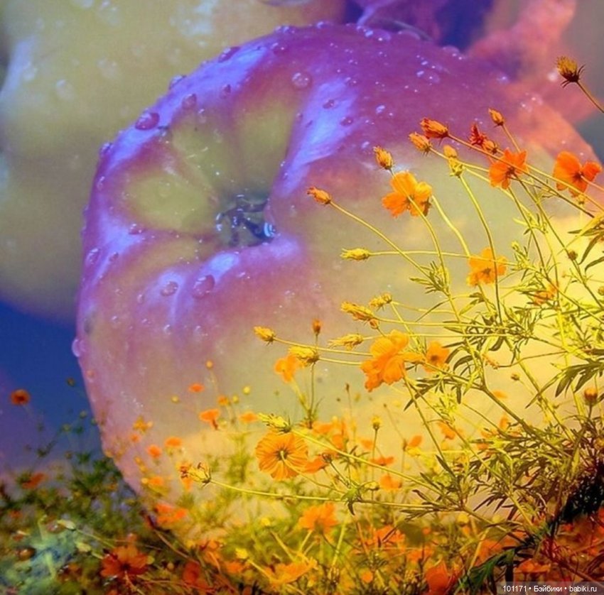 За семь часов до осени. Моя новая Мила