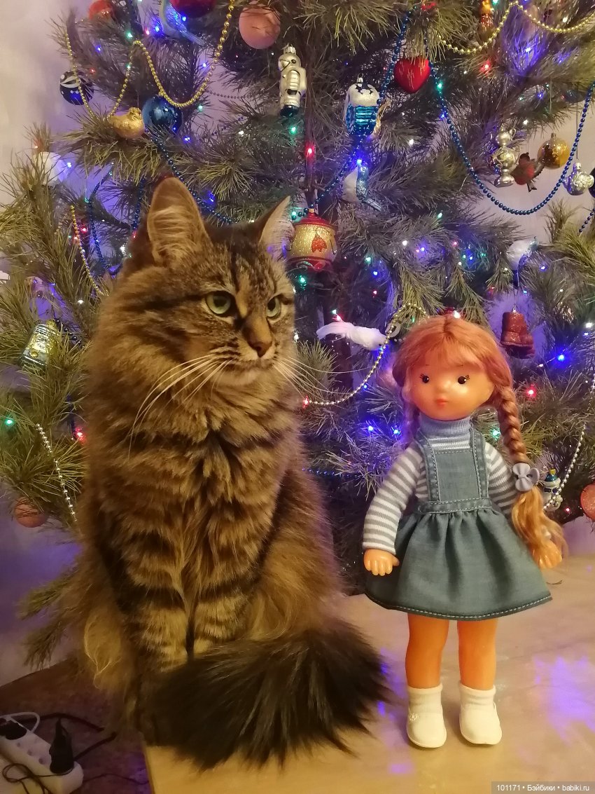 Юля ("Кругозор"): чудеса у новогодней елки