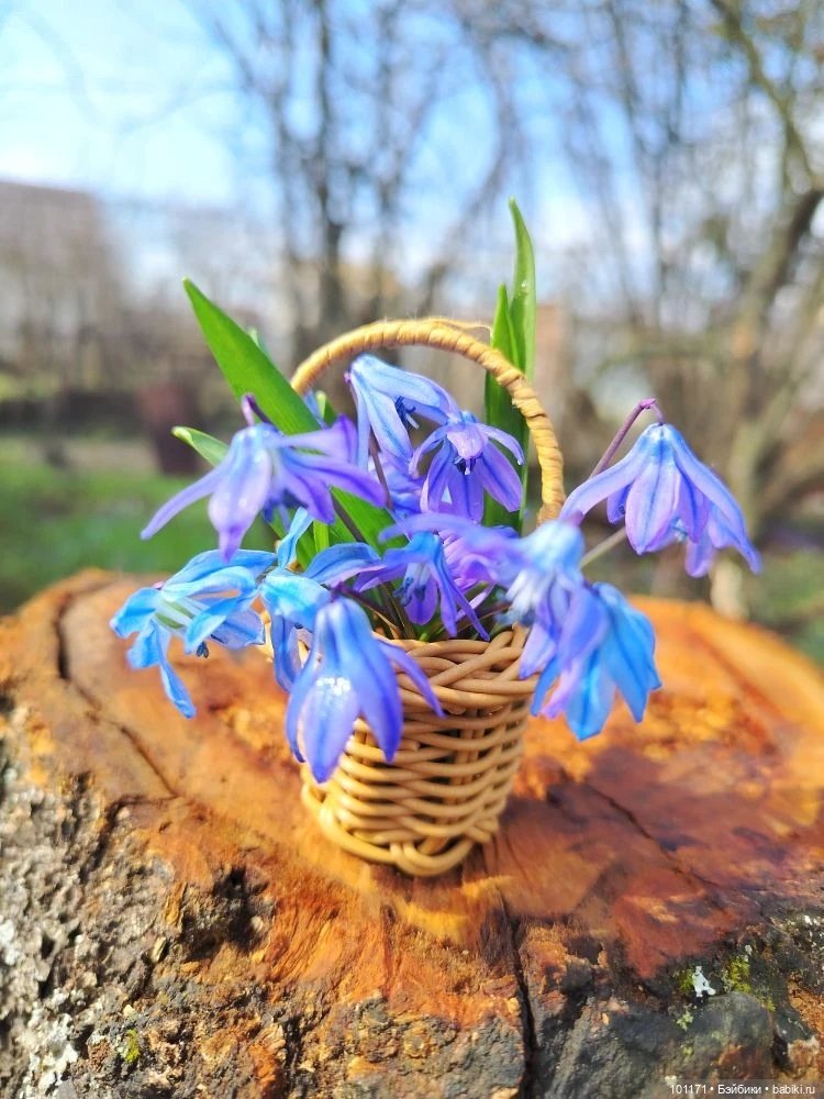 Юлечка: зимние мечты сбываются в апреле!)