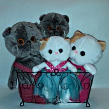 ...Семейство Котейкиных...