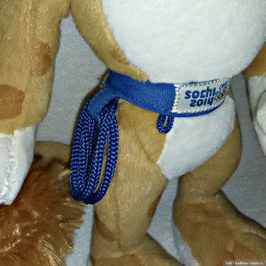 ...Зимние Олимпийские 2014-го года (фото 4)