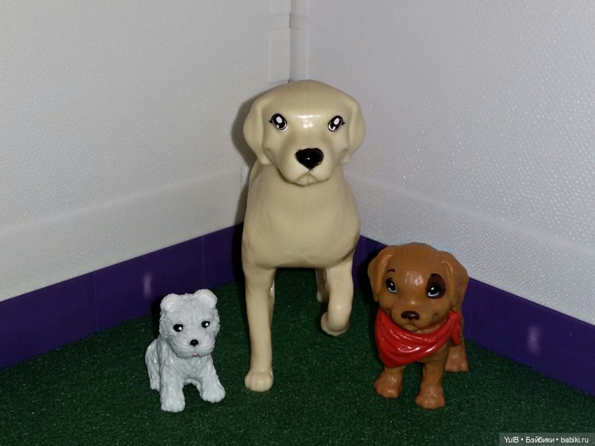 ...Заселение в Дом, который построила я