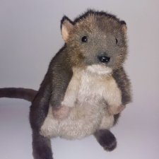 ...Любимый Крыс...