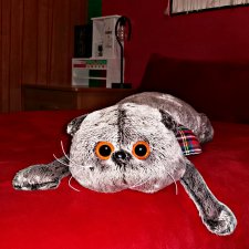 ...Кот не мой, но в моей коллекции...