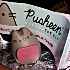 ...Ещё один Pusheen...