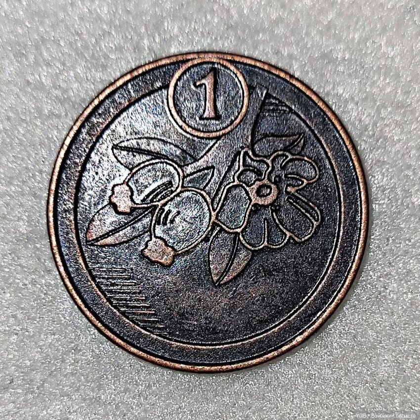 ...Кладоискатели — Интересное и необычное: фотоподборки (фото 2)