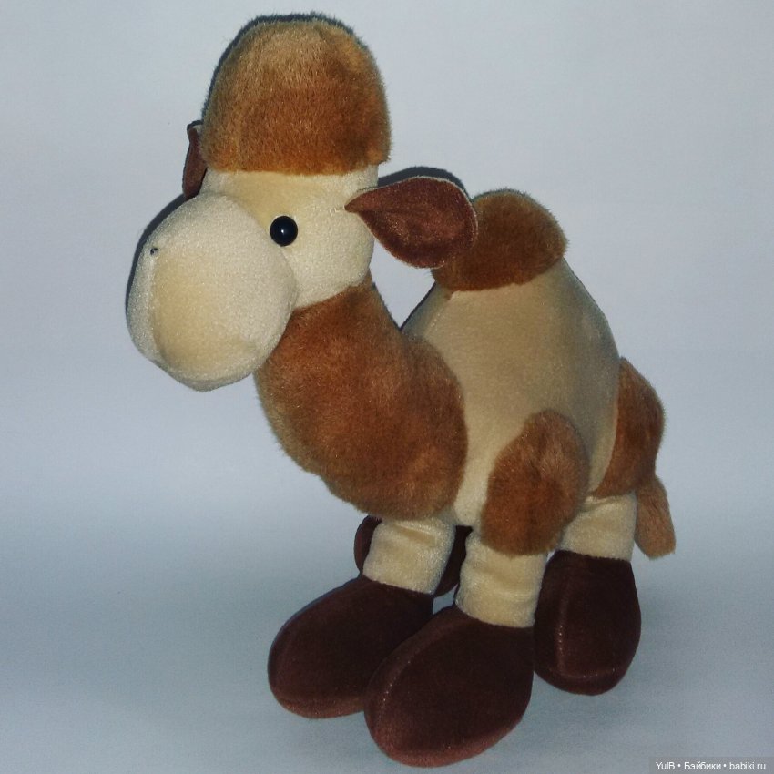 ...Верблюд — Интересное и необычное: фотоподборки