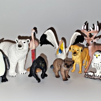 ...Зоо от Кари...