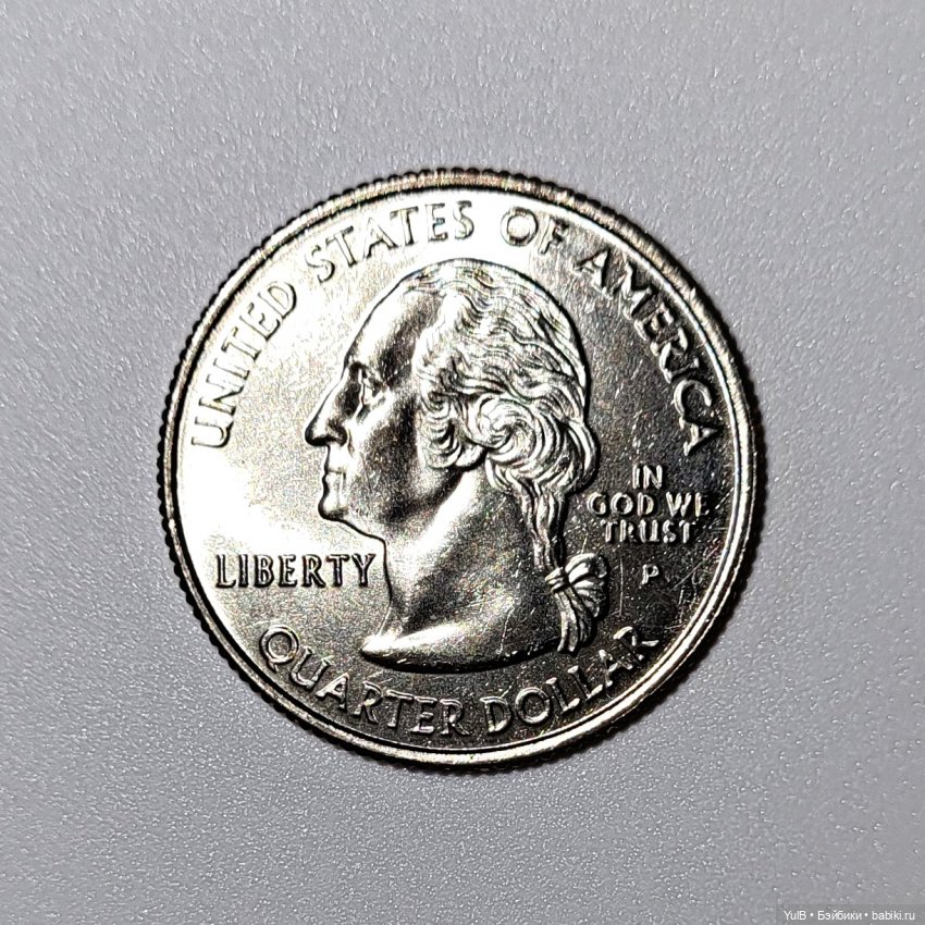 Александр, Флорида и Нью-Йорк (фото 6)