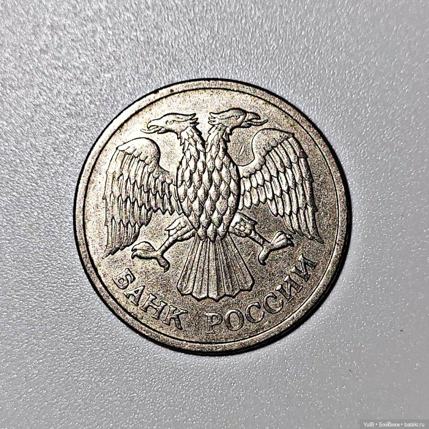 Александр, Флорида и Нью-Йорк (фото 8)