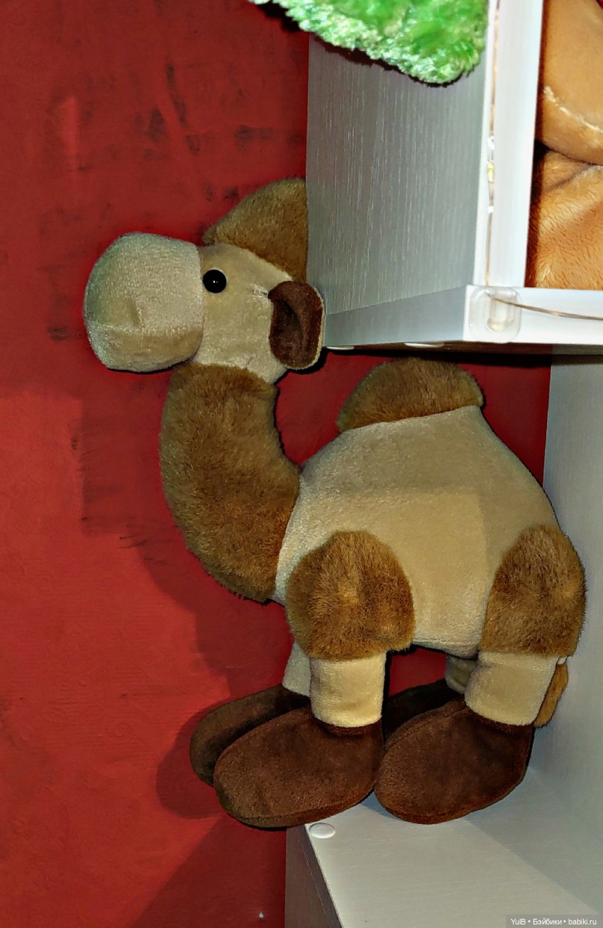 Что где, как и в чём — Домашние коллекции кукол: фото собраний