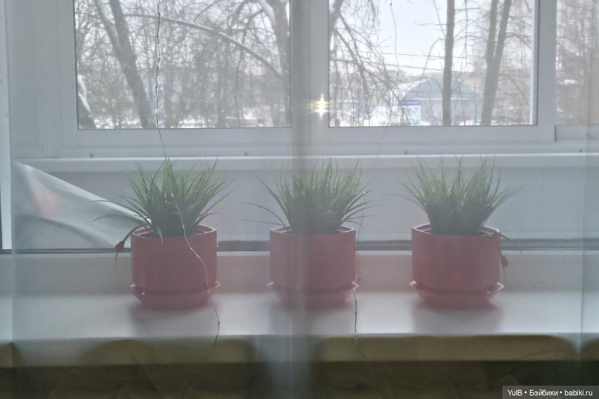 Что где, как и в чём — Домашние коллекции кукол: фото собраний