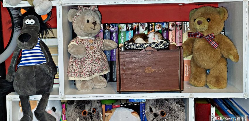 Что где, как и в чём — Домашние коллекции кукол: фото собраний