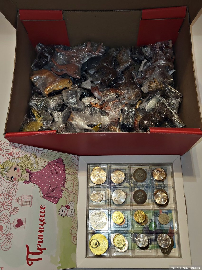 Что где, как и в чём — Домашние коллекции кукол: фото собраний