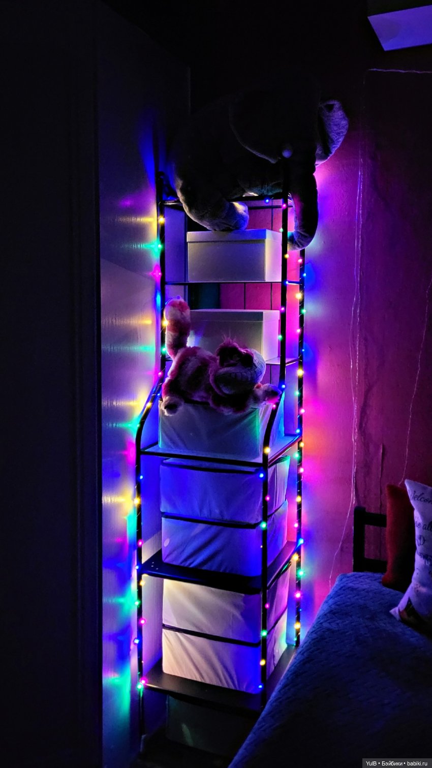 Что где, как и в чём — Домашние коллекции кукол: фото собраний