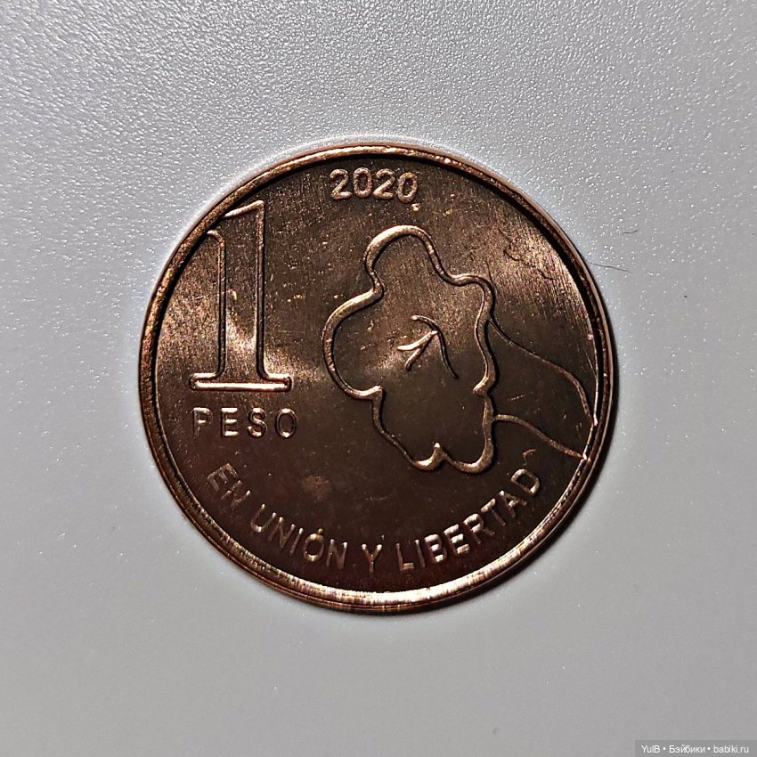 Денежное пополнение — Интересное и необычное: фотоподборки (фото 6)