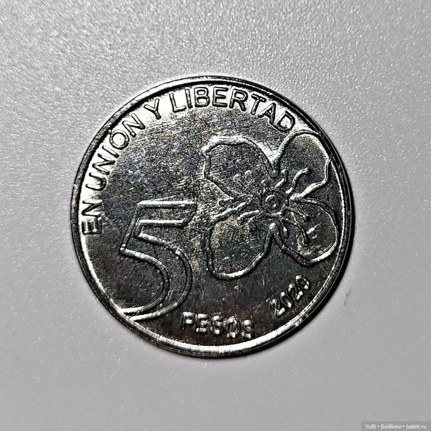 Денежное пополнение — Интересное и необычное: фотоподборки (фото 10)