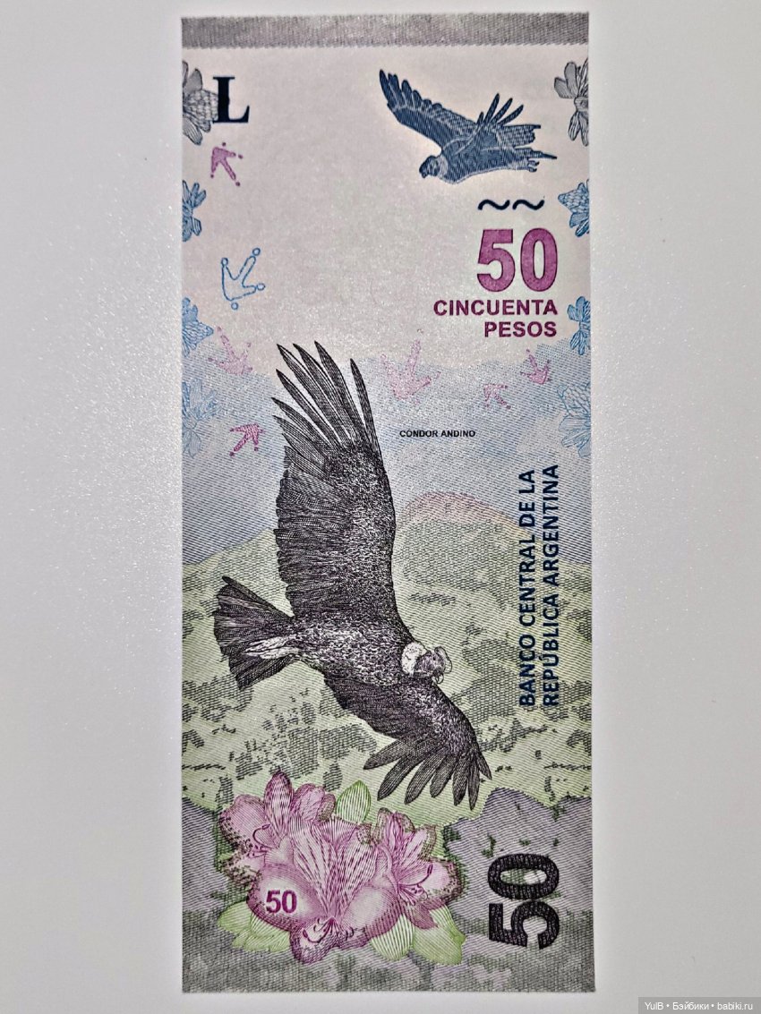 Денежное пополнение — Интересное и необычное: фотоподборки (фото 4)