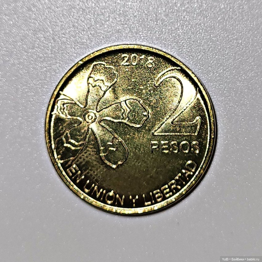 Денежное пополнение — Интересное и необычное: фотоподборки (фото 8)