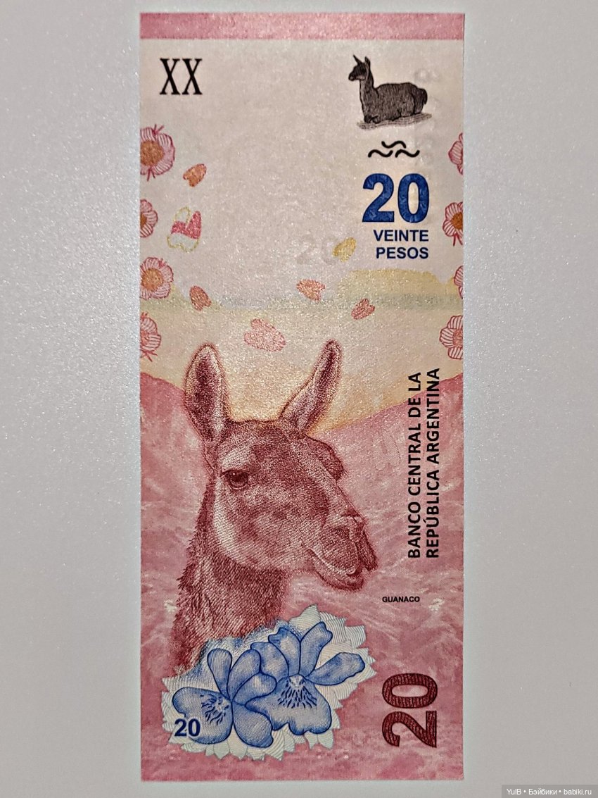 Денежное пополнение — Интересное и необычное: фотоподборки (фото 2)