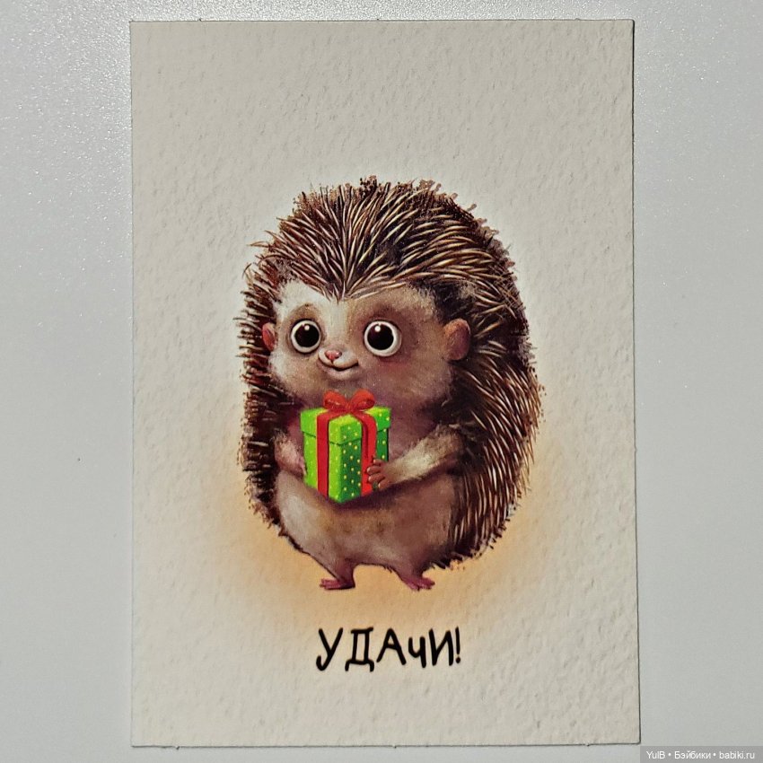 Всего и много — Интересное и необычное: фотоподборки