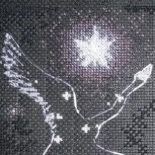 Я обещала лебедя