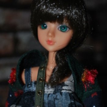 Моя коллекция J Doll-часть16