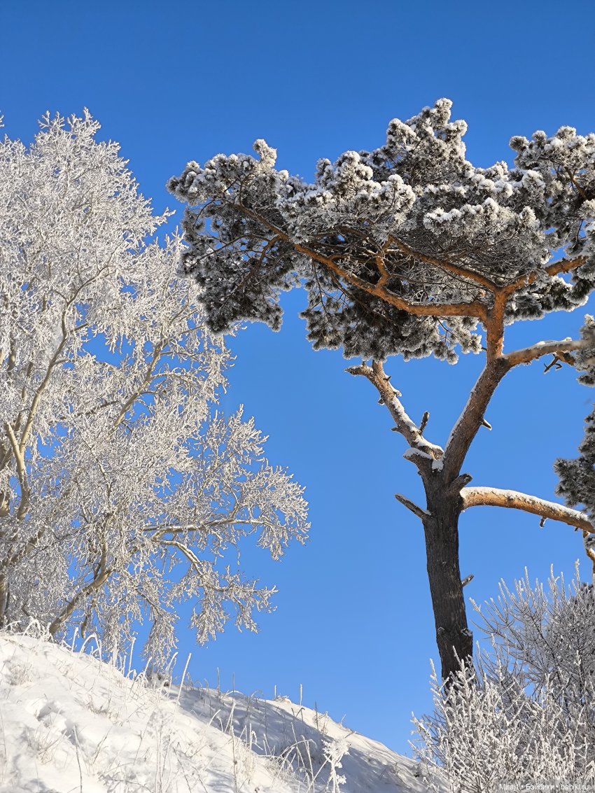 Зимняя прогулка — Туризм и путешествия: фотоотчеты из поездок (фото 3)