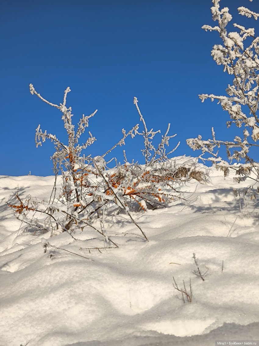 Зимняя прогулка — Туризм и путешествия: фотоотчеты из поездок (фото 5)
