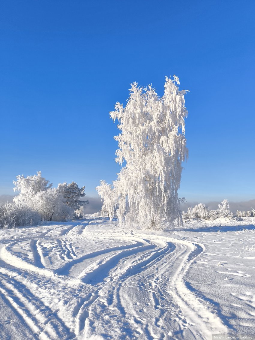 Зимняя прогулка — Туризм и путешествия: фотоотчеты из поездок (фото 4)
