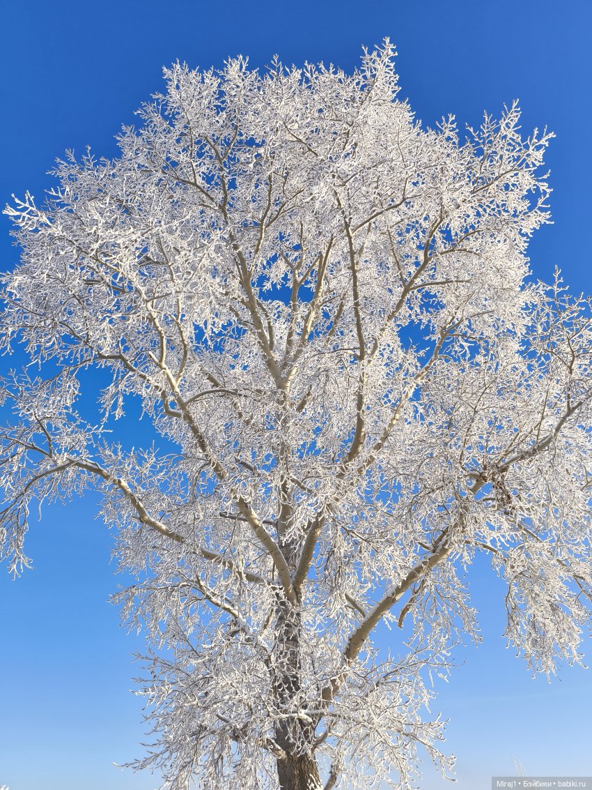 Зимняя прогулка — Туризм и путешествия: фотоотчеты из поездок