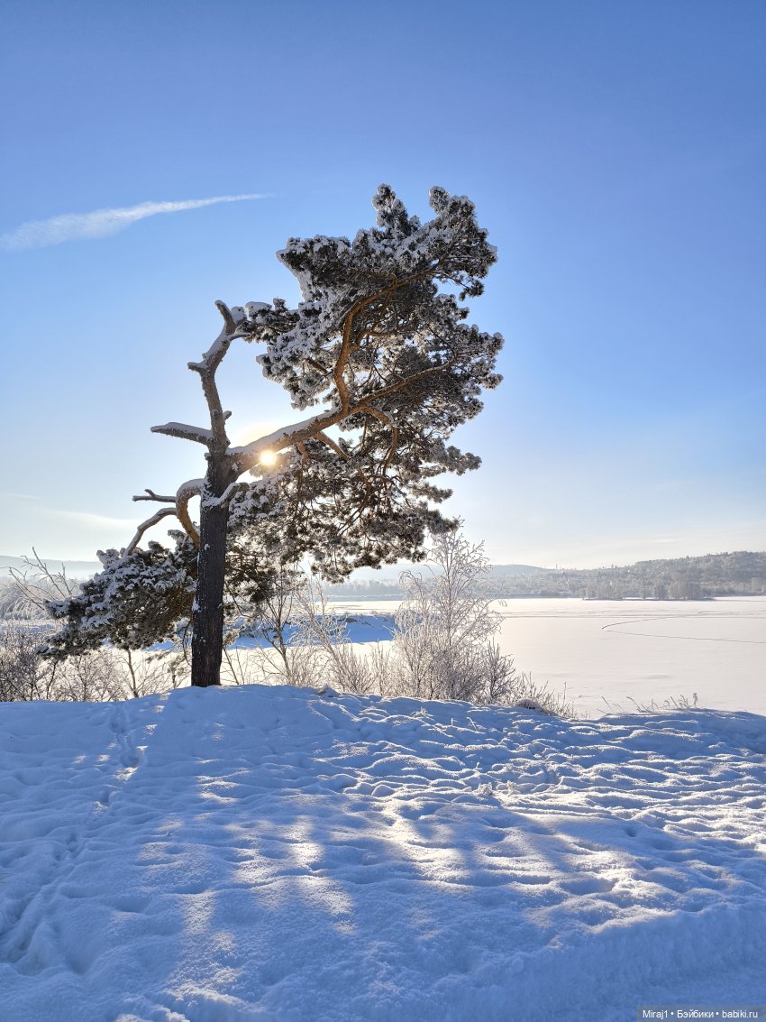Зимняя прогулка — Туризм и путешествия: фотоотчеты из поездок (фото 2)
