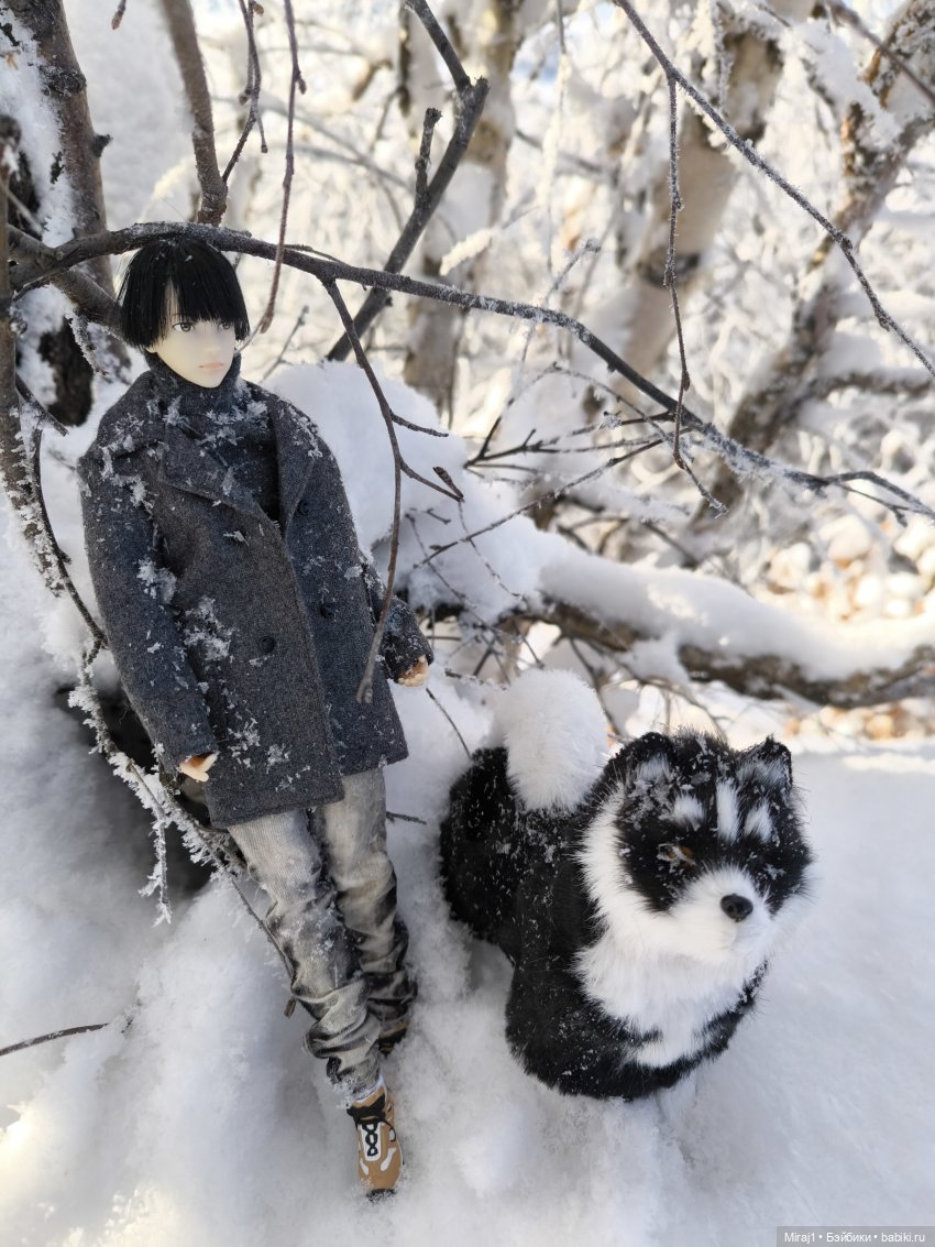 Petworks номер 5 — Куклы Momoko и Ruruko (Petworks (фото 3)