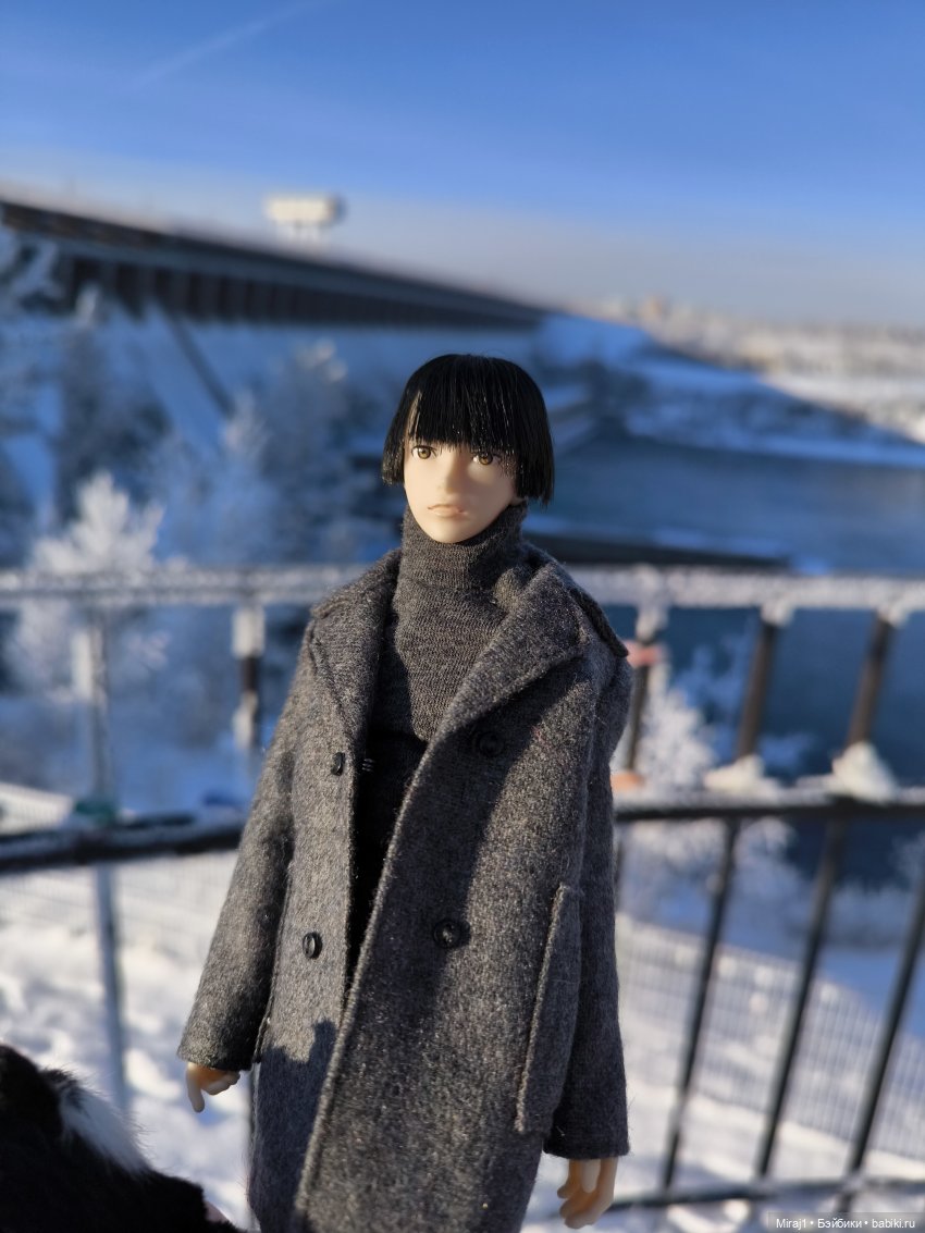 Petworks номер 5 — Куклы Momoko и Ruruko (Petworks (фото 6)