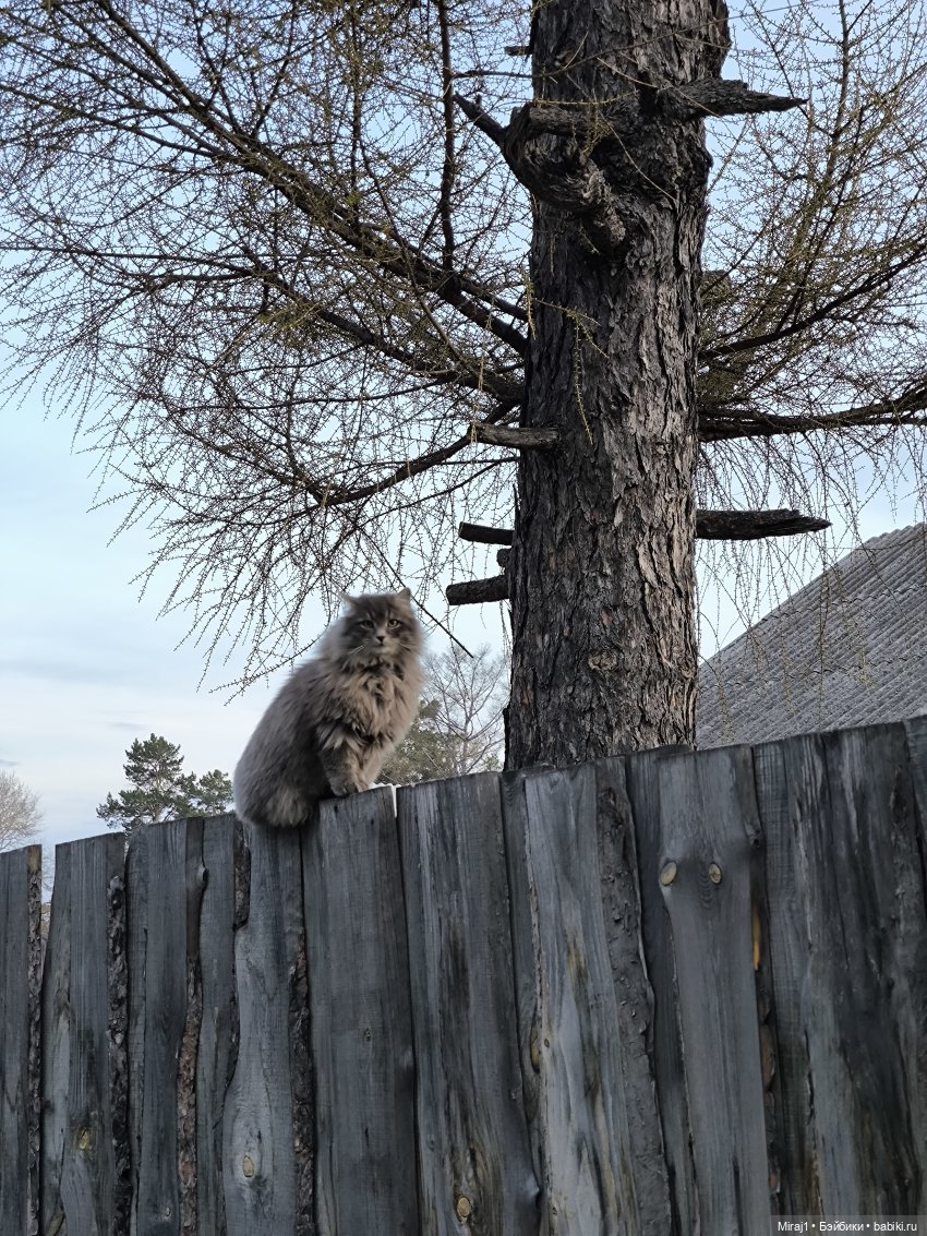 Аршан 2025 — Туризм и путешествия: фотоотчеты из поездок