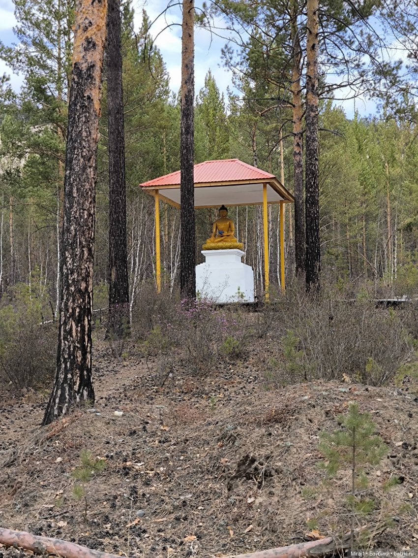 Аршан 2025 — Туризм и путешествия: фотоотчеты из поездок (фото 3)