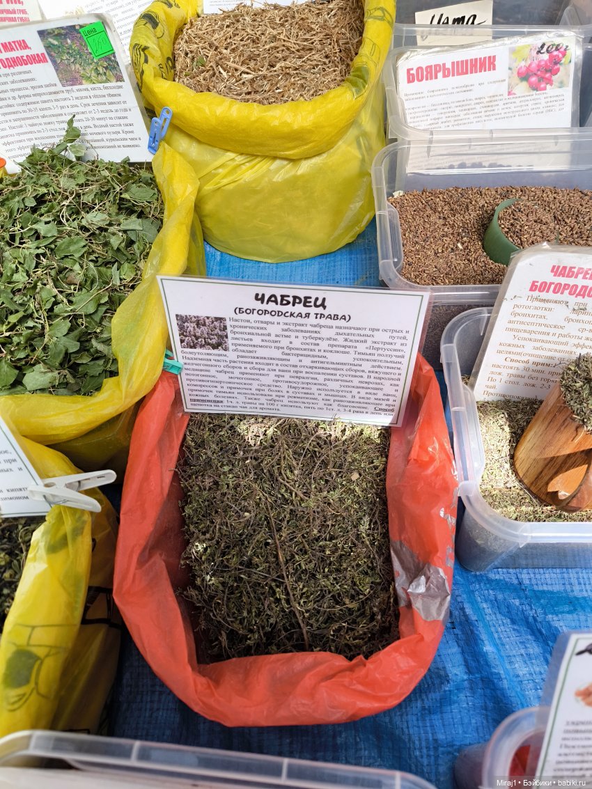 Аршан 2025-часть2 — Туризм и путешествия: фотоотчеты из поездок (фото 4)